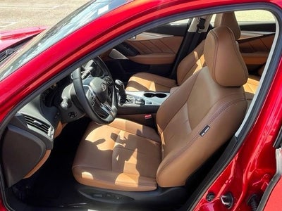 2023 INFINITI Q50 LUXE RWD