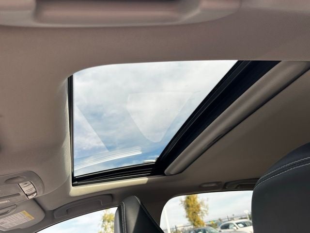 2023 INFINITI Q50 LUXE RWD